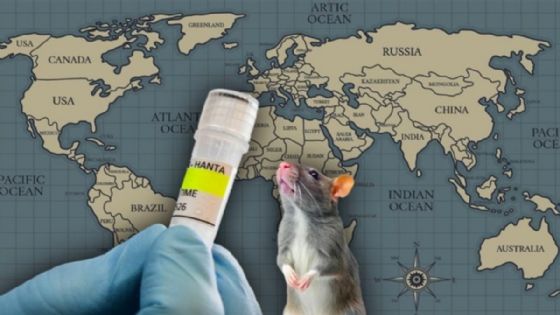 Hantavirus: Alertan a varios países tras rastrear viaje de pareja ligada al brote en el crucero