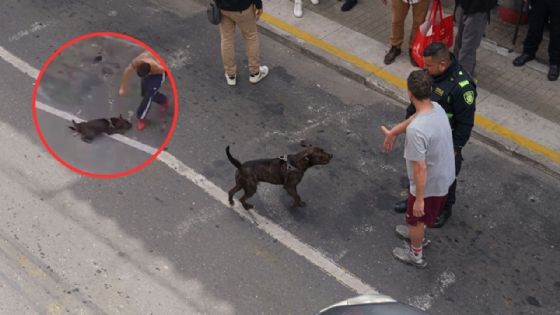 MOMENTO EXACTO en que policía le dispara y mata a un perrito; intentaba defender a su dueño