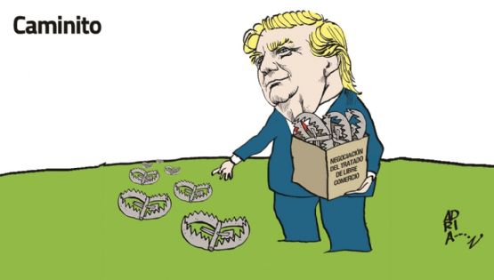 El Cartón de Adrián: Caminito