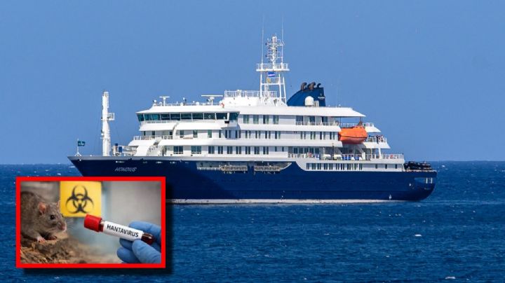 OMS sospecha que Hantavirus ya se transmite de persona a persona tras brote en crucero; lleva 3 pasajeros muertos
