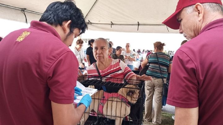 Perritos y gatos se vuelven protagonistas de jornadas gratuitas para el cuidado de mascotas en Nuevo Laredo