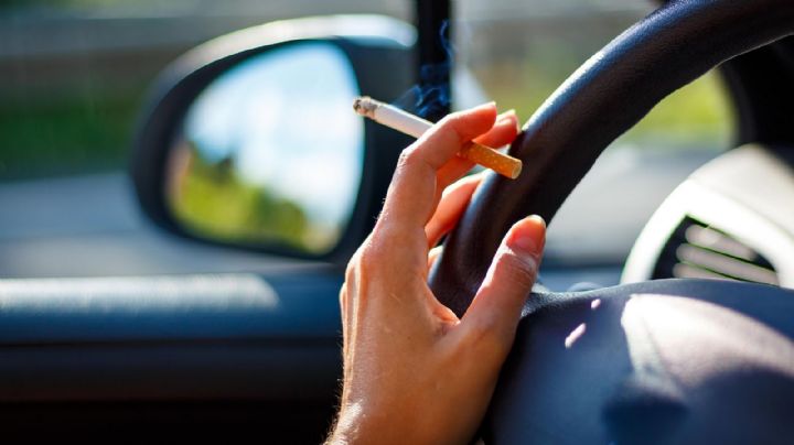 ¡Cuidado conductores! Tu copiloto puede hacer que pagues una multa de 2 mil 800 pesos si hace esto